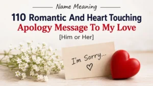 110 Romantic And Heart Touching Apology Message To My Love [Him or Her]